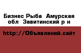 Бизнес Рыба. Амурская обл.,Завитинский р-н